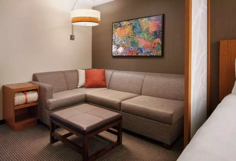 ホテル Hyatt Place Knoxville/downtown