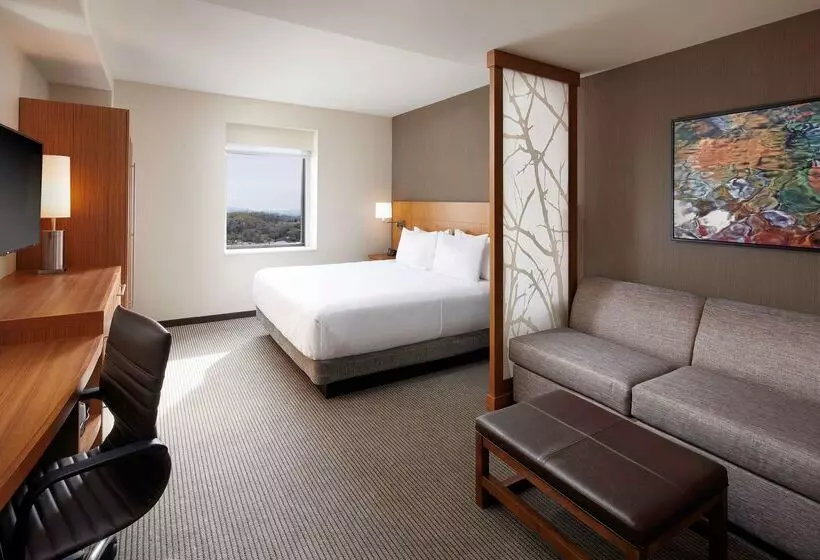 ホテル Hyatt Place Knoxville/downtown