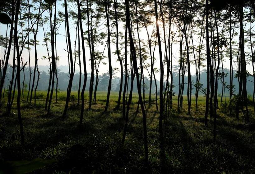 هتل Plataran Heritage Borobudur