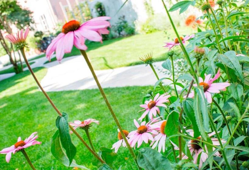 住宿加早餐  Garni Appartment Wagnerhof