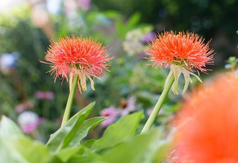 住宿加早餐  Garni Appartment Wagnerhof