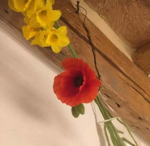 تختخواب و صبحانه Tabano Ristorante Casolare