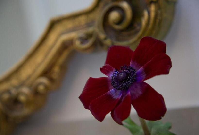 مبيت وإفطار Tabano Ristorante Casolare