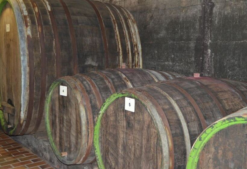 مبيت وإفطار Weingut H. Gindorf