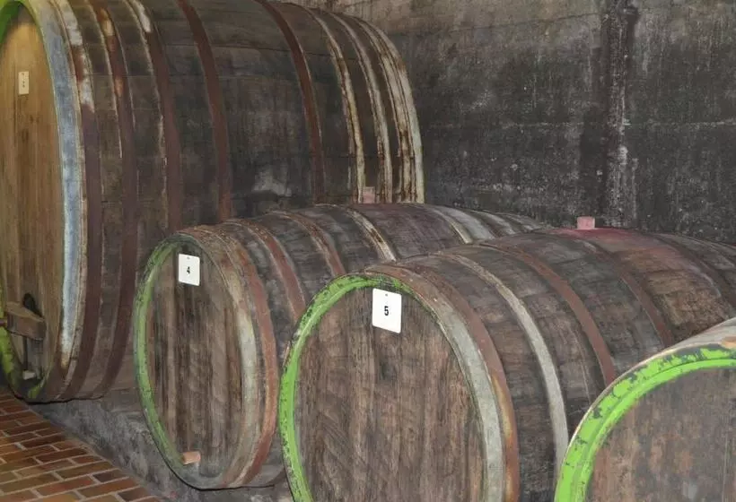 ベッドアンドブレックファースト Weingut H. Gindorf