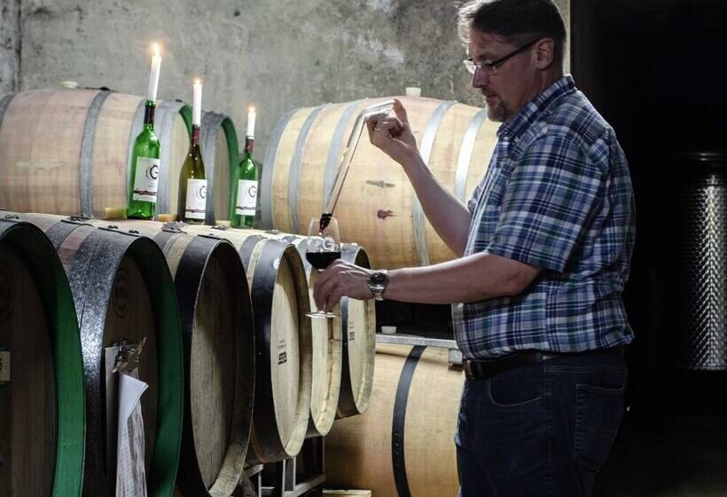 مبيت وإفطار Weingut H. Gindorf