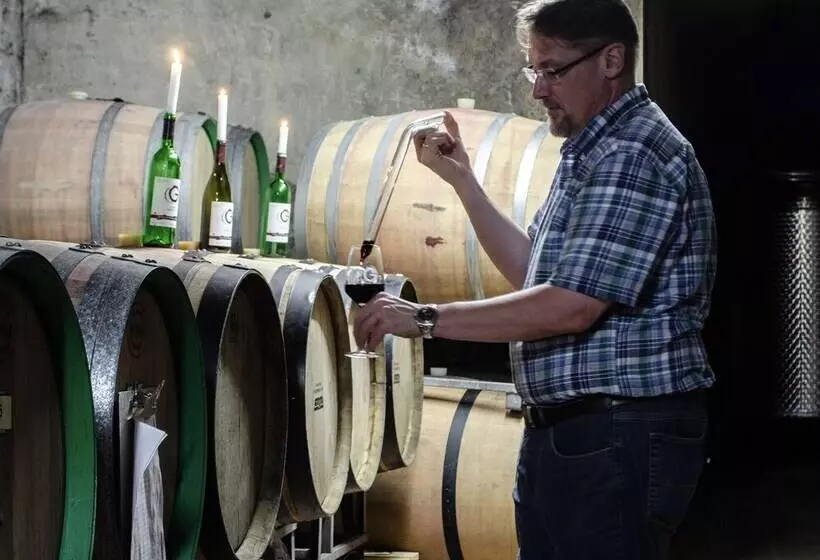 ベッドアンドブレックファースト Weingut H. Gindorf