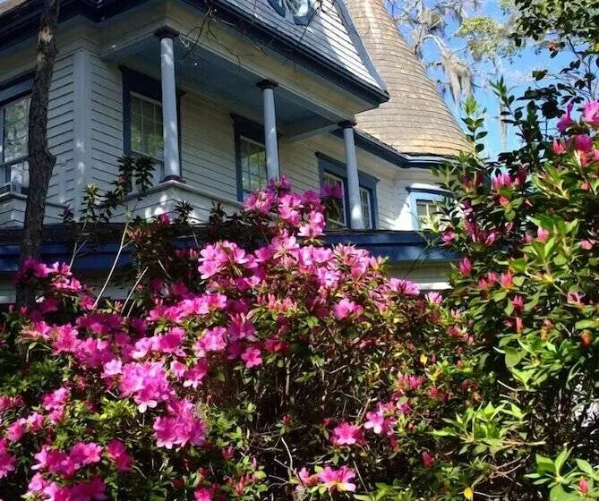 Daffodale House B&b