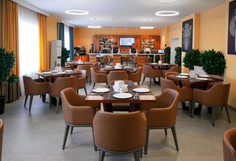 هتل Koktem Burabay