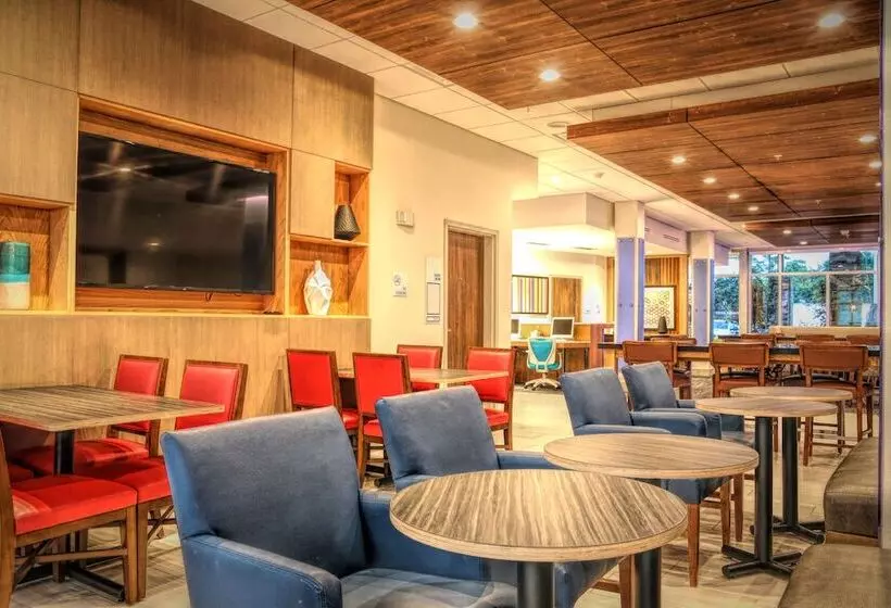ホテル Holiday Inn Express & Suites   Chalmette   New Orleans S, An Ihg