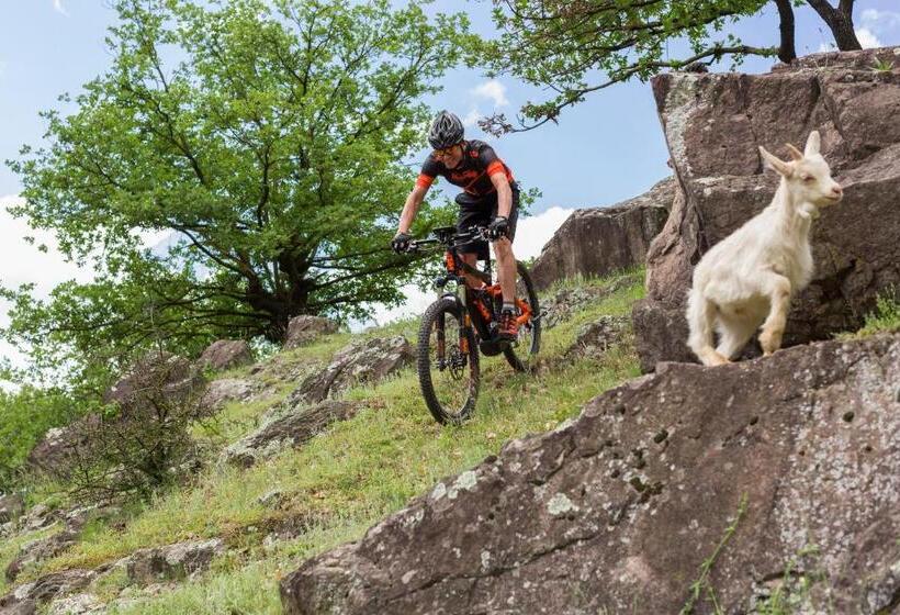 Отель Markushof Adults Only