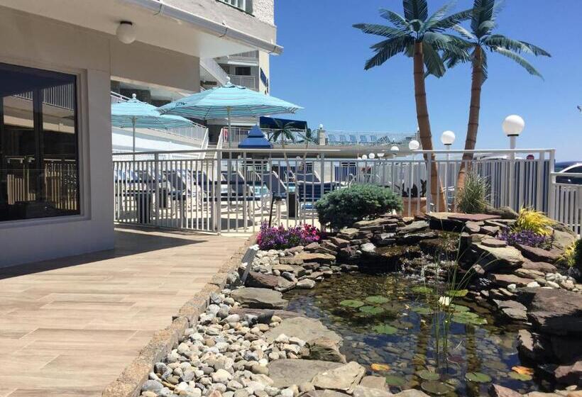 فندق على الطريق Armada By The Sea