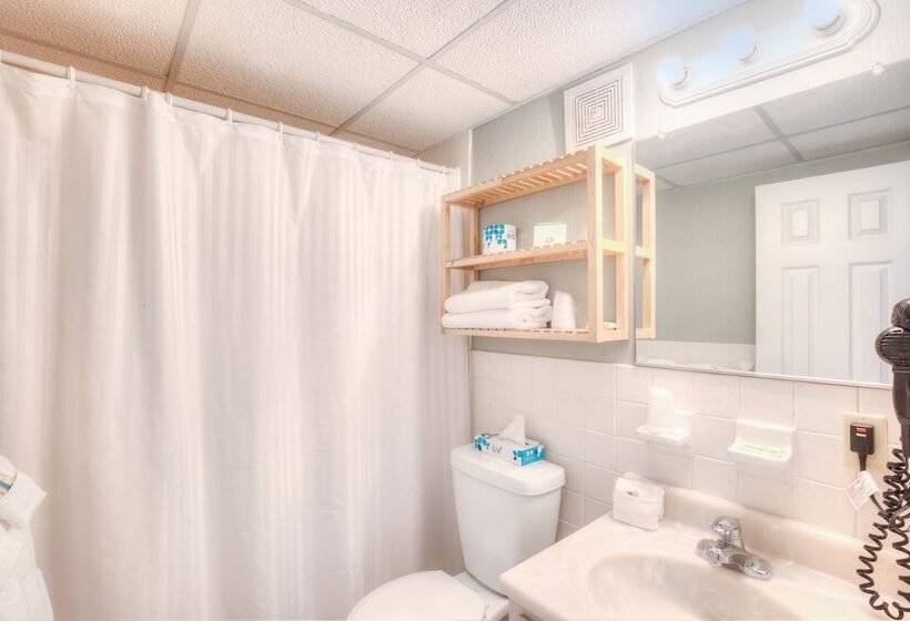 فندق على الطريق Armada By The Sea