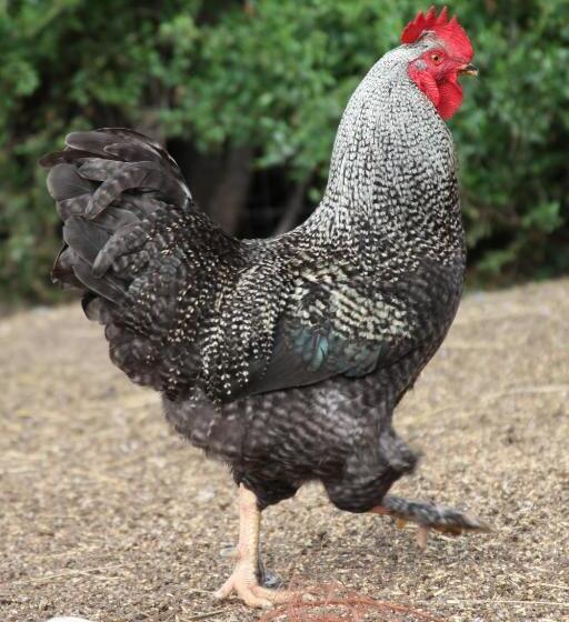 Sleep For Less Motel