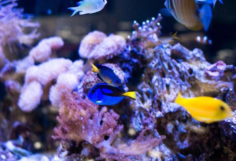 Pansiyon Vaughans Anchor Inn