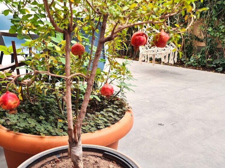 호텔 Economy Type Rooms