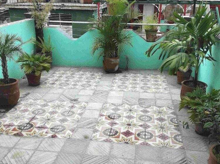 פנסיון Casa Pavel Y Coralia