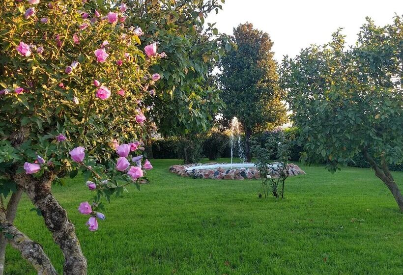 酒店 Albergo La Noce