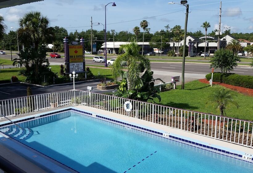 فندق على الطريق Maple Leaf Inn & Suites