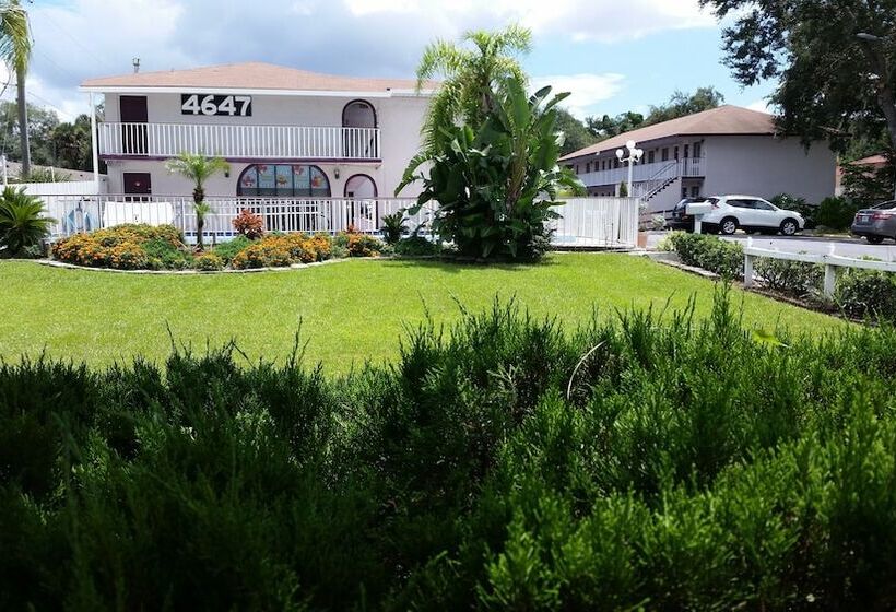 فندق على الطريق Maple Leaf Inn & Suites