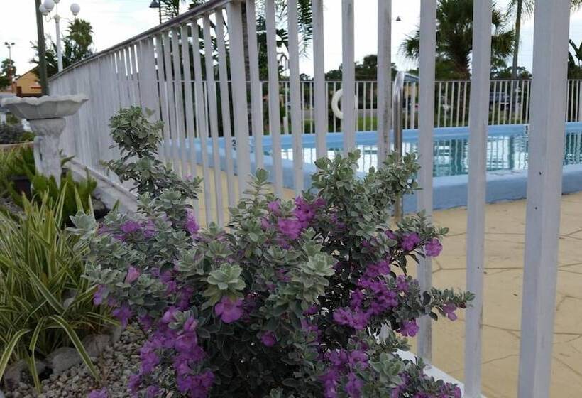 فندق على الطريق Maple Leaf Inn & Suites