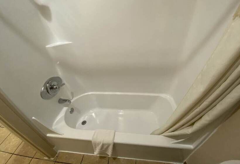 فندق على الطريق Regency Inn