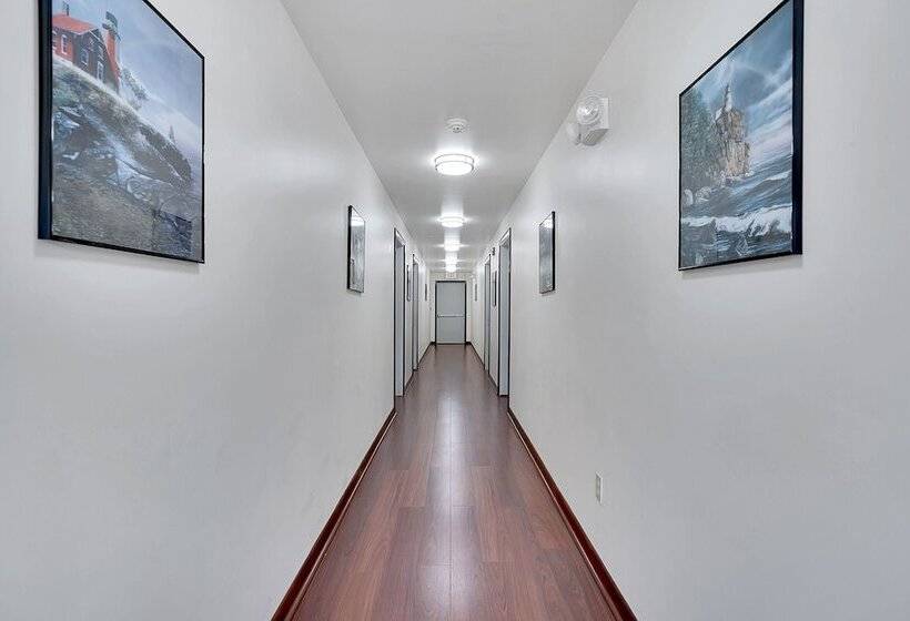 فندق على الطريق Usa Inn