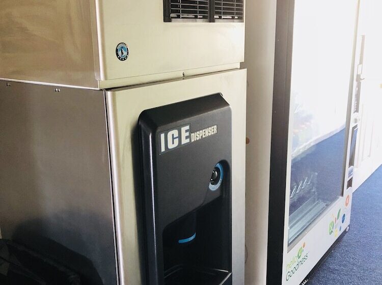 فندق على الطريق Usa Inn