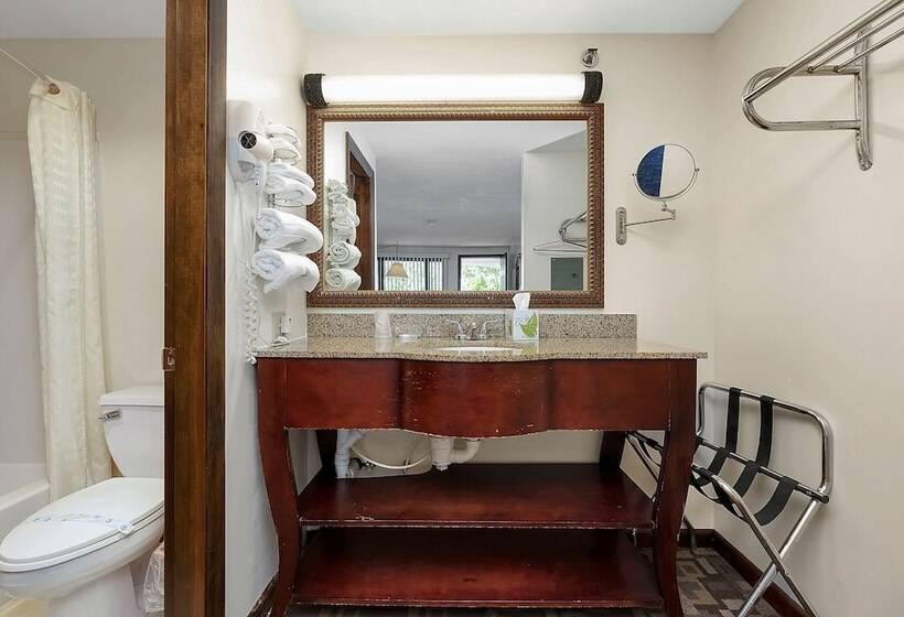 فندق على الطريق Usa Inn