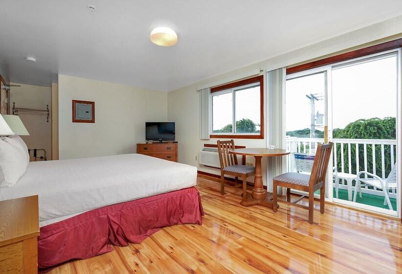 فندق على الطريق Usa Inn