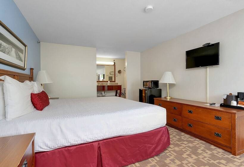 فندق على الطريق Usa Inn