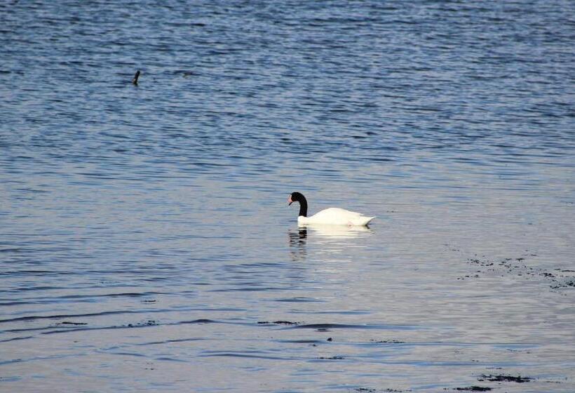 Palafito 1326 Hotel Boutique Chiloé