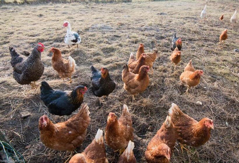 مبيت وإفطار Ferme De Malo