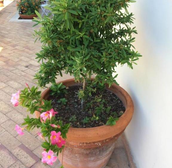 צימר Le Terrazze Di Cristina