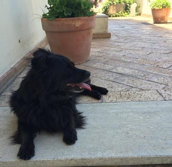 צימר Le Terrazze Di Cristina