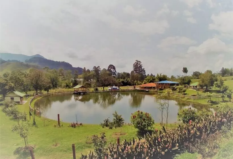هتل Lago Valdivia