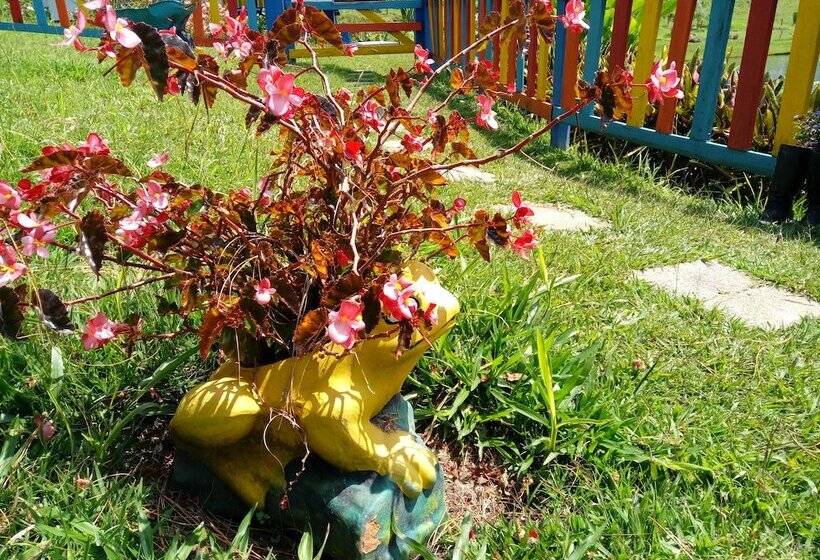 בית מלון כפרי Lago Valdivia