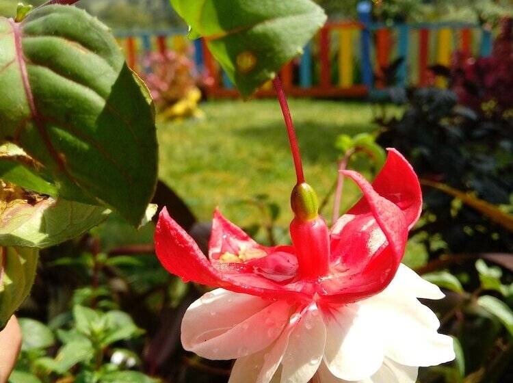 בית מלון כפרי Lago Valdivia