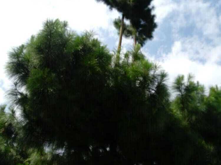 בית מלון כפרי Lago Valdivia