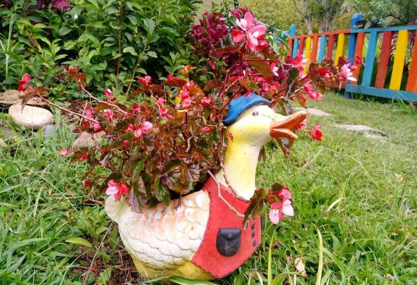 בית מלון כפרי Lago Valdivia