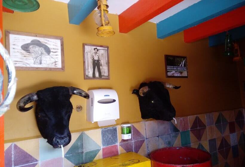 בית מלון כפרי Lago Valdivia