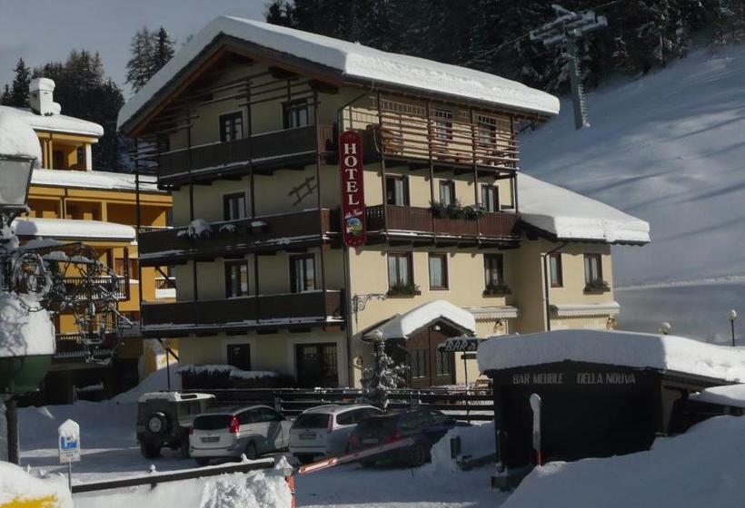 Отель Della Nouva