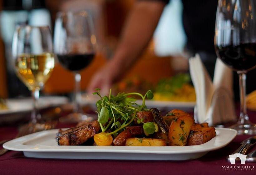 リゾートホテル Malalcahuello Thermal Hotel & Spa