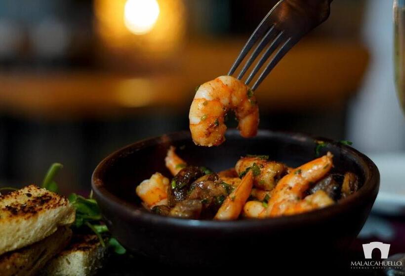 リゾートホテル Malalcahuello Thermal Hotel & Spa