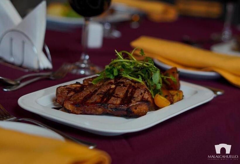 リゾートホテル Malalcahuello Thermal Hotel & Spa