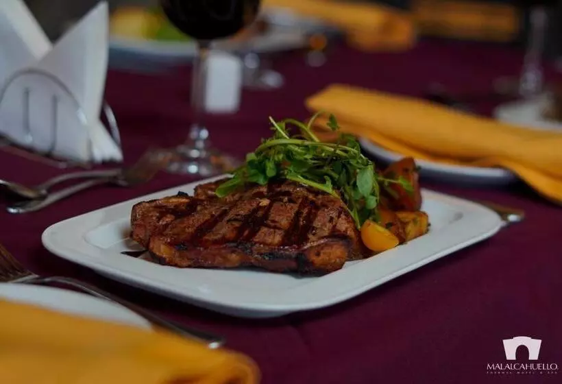 استراحتگاه Malalcahuello Thermal Hotel & Spa