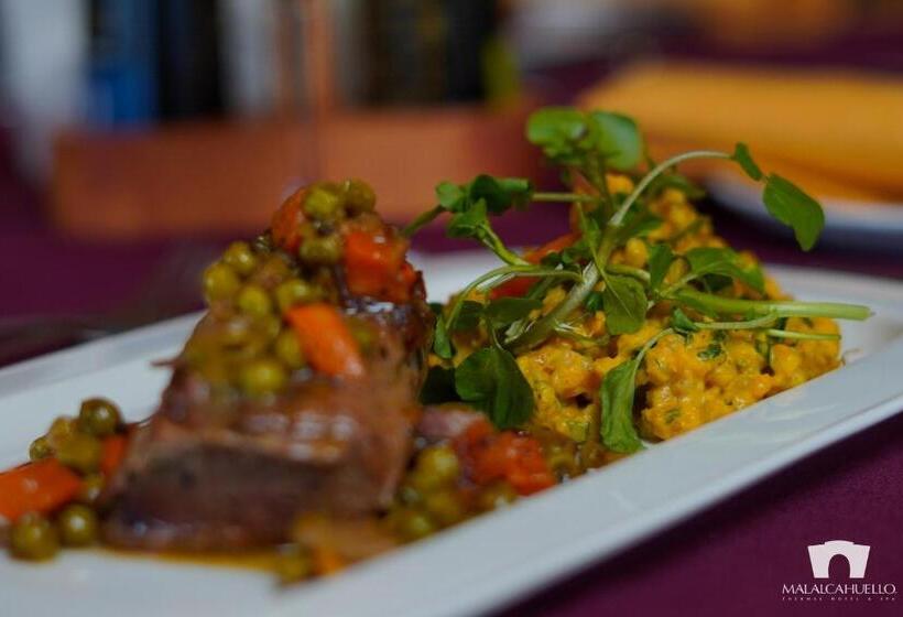 リゾートホテル Malalcahuello Thermal Hotel & Spa