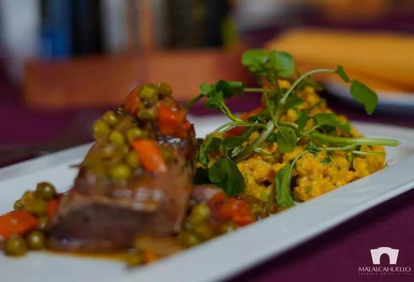 استراحتگاه Malalcahuello Thermal Hotel & Spa