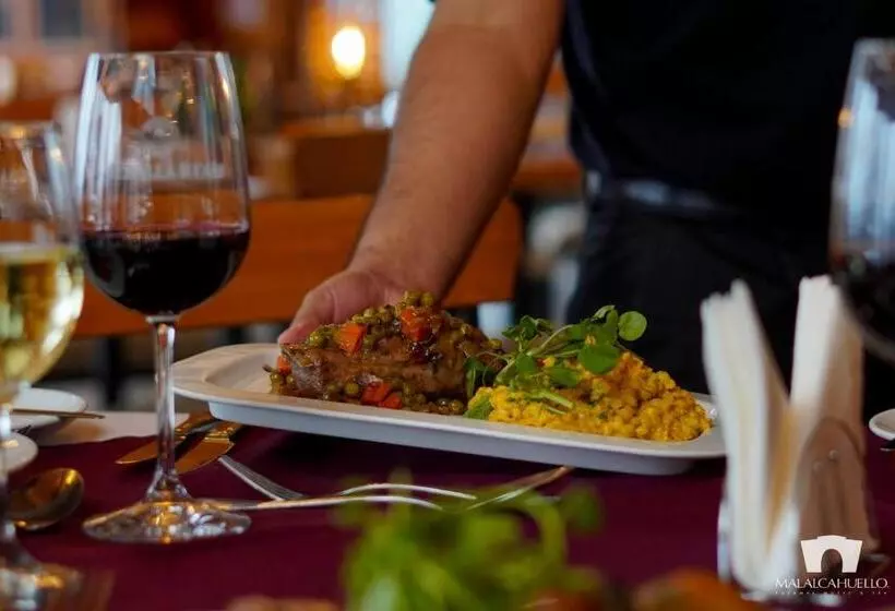 استراحتگاه Malalcahuello Thermal Hotel & Spa