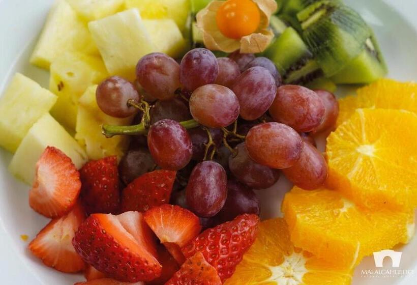 リゾートホテル Malalcahuello Thermal Hotel & Spa